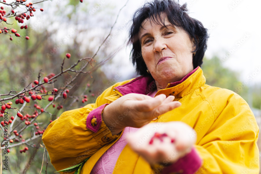 Portrait of cheerful senior woman enjoying eating hawthorn berry in nature. Portrait of cheerful senior woman enjoying eating hawthorn berry in nature.