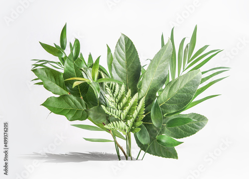Various green tropical leaves  bunch on white table at wall background. Floral setting with palm branches. Front view.
