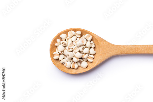 Closeup Job's tears (Adlay millet or pearl millet) in wooden spoon isolated on white background, 