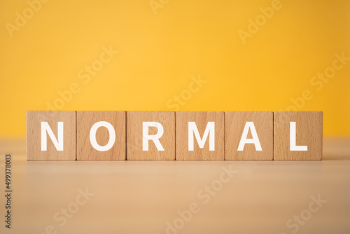 Fotografia ノーマルのイメージ｜「NORMAL」と書かれた積み木