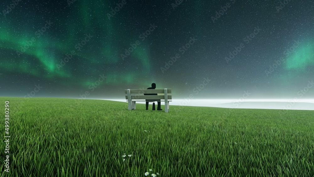 Obraz premium alone in the grassland