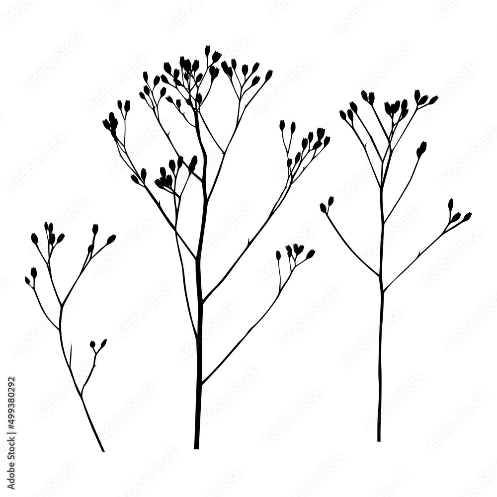 Dried flower icon set Dried flower icon set