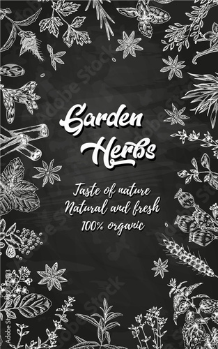 Black and white illustration of spices, herbs and spices. Hand drawing. Vector for menu, restaurant,
food and kitchen design.