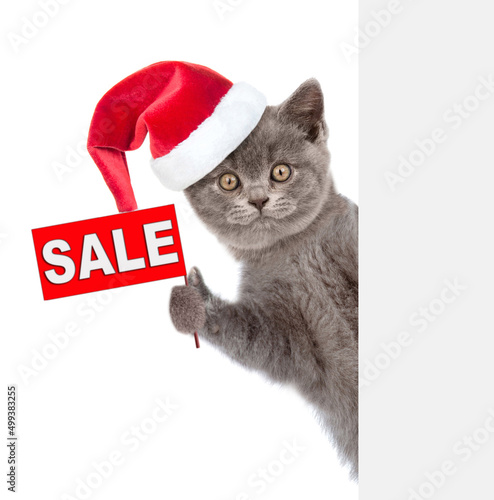 Cat wearing a red christmas hat holds sales symbol behind empty banner. isolated on white background