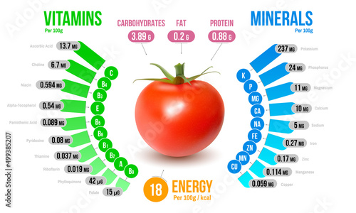 Tomato Nutrients Infographics Diagram