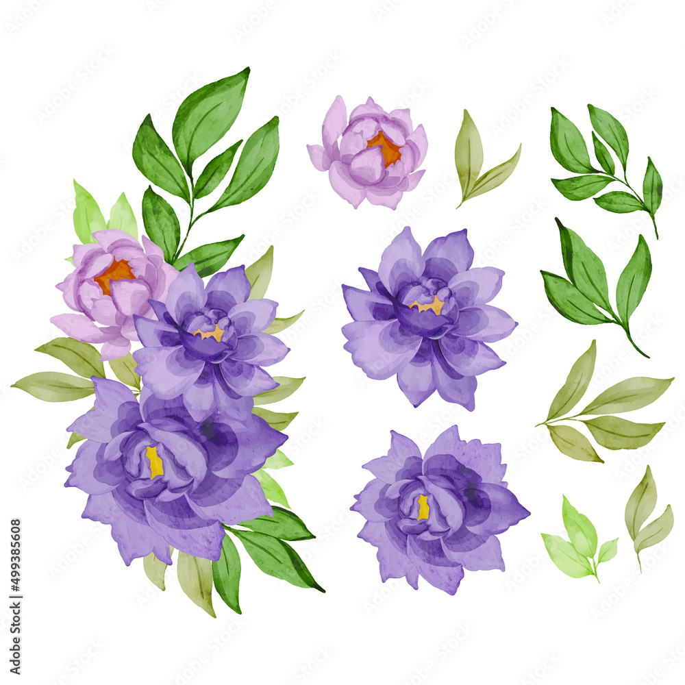 set of purple rose bouquet isolated clipart