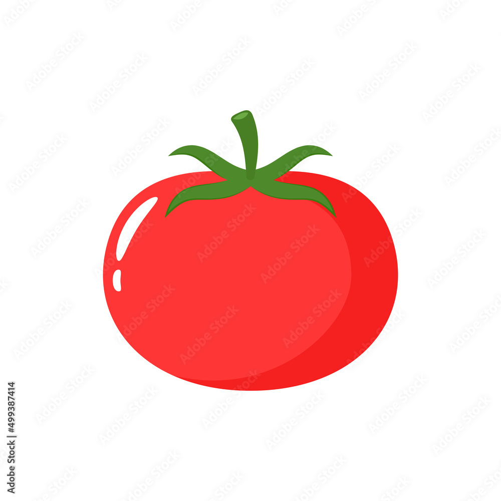 Tomato cartoon. Tomato vector. Tomato on white background. Tomato cartoon. Tomato vector. Tomato on white background.