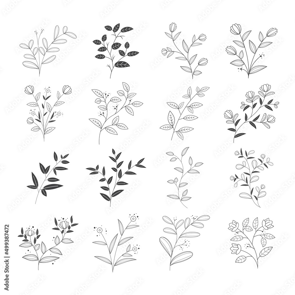 Hand drawn floral decorative. Natural leaves vector set. Hand drawn floral decorative. Natural leaves vector set.