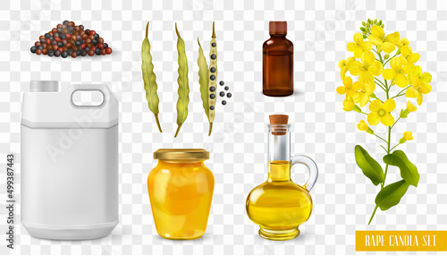 Rape Canola Transparent Set
