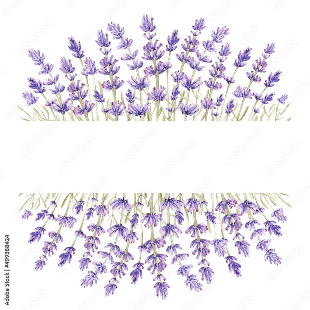 Lavender Flower Border Clipart