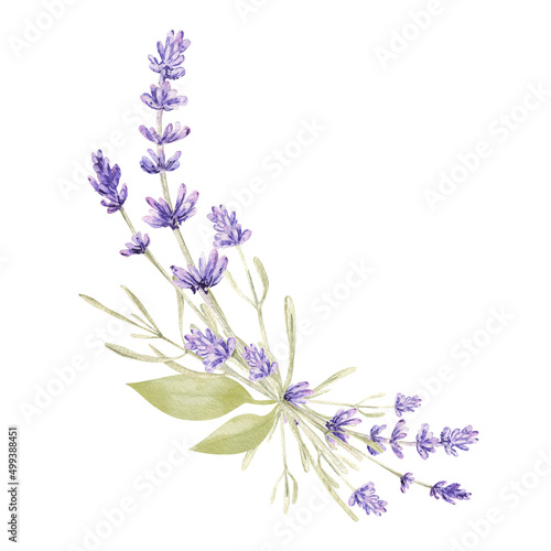 Fototapeta Naklejka Na Ścianę i Meble -  Watercolor lavender flower wreath, bouquet. Provence floral arrangement. Vintage garden. Botanical clipart. Hand painted illustration for greeting card.