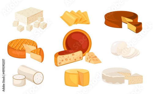 Set of cheese different species on white background. Vector illustration of whole and sliced cheddar ,mozzarella, maasdam, brie, roquefort, gouda, feta and parmesan in cartoon style.