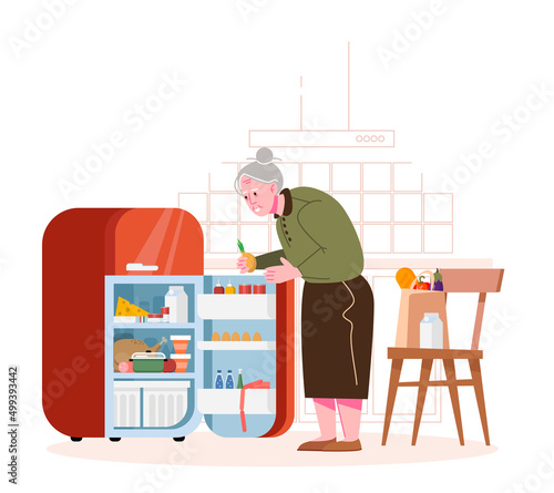 An elderly woman sorts out the purchased products and puts them in the refrigerator. Housework. Old people and life. Flat vector illustration.