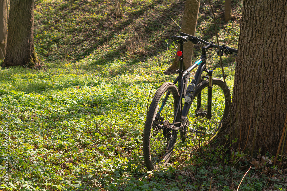 Mountain bike in the grass at the roadside
