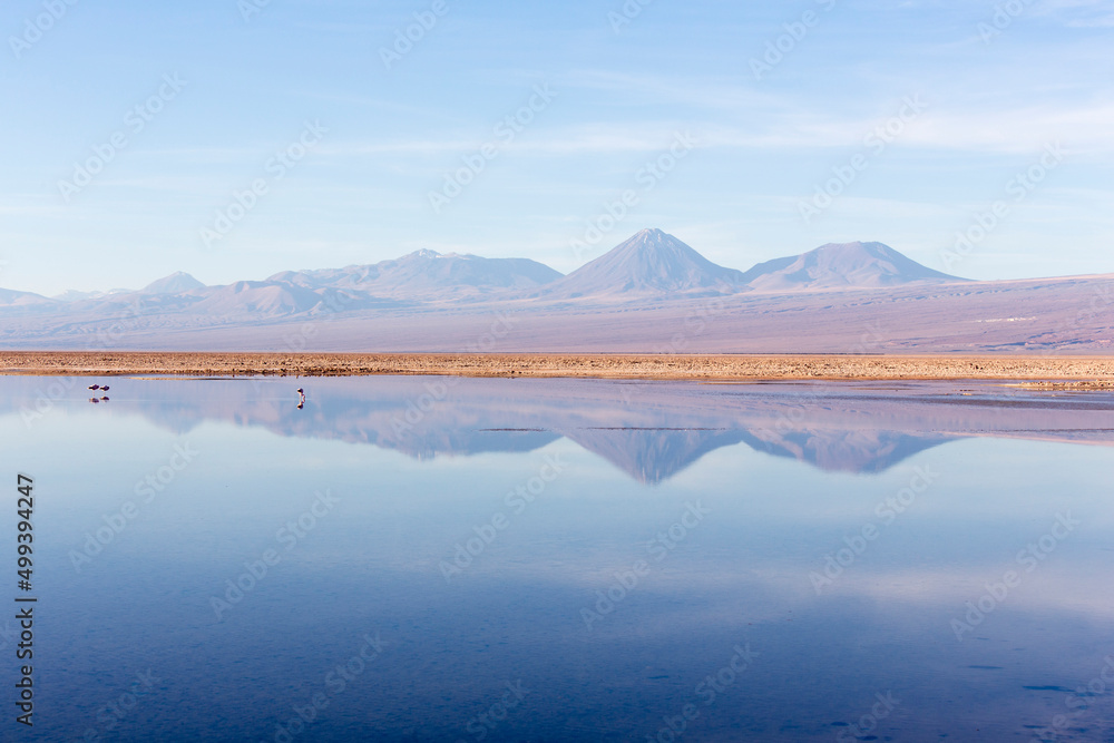 View of Chaxa lagoon during winter