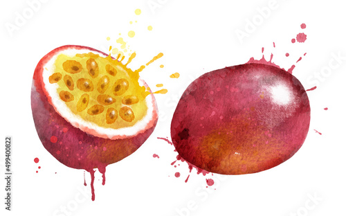 Watercolor vector illustration of passionfruit