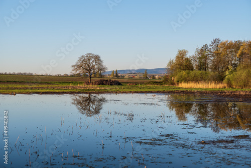 landscape with flooding photo