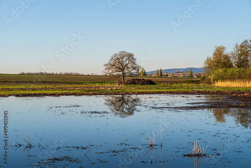 Fotografia landscape with inundation
