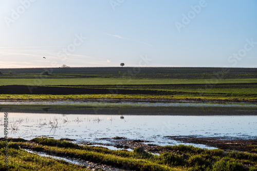 landscape with flloding photo