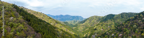 新緑の山のパノラマ風景