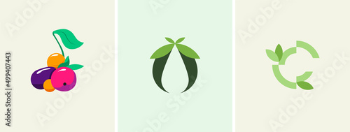 A set of three vector logos a bunch of fruits and vegetables with leaves, olive oil, letter O and C. Vector illustration