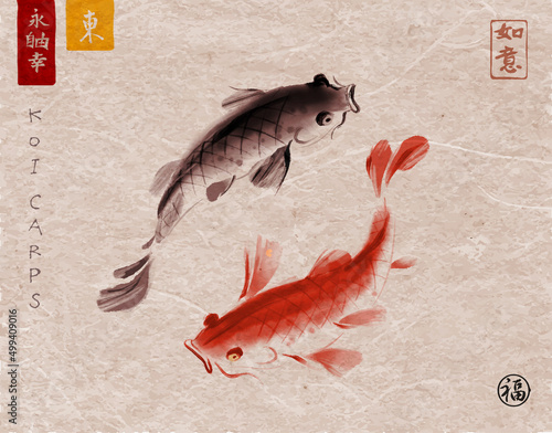 Two koi carps on rice paper background. Traditional oriental ink painting sumi-e. Symbol of good fortune, success and prosperity. Hieroglyphs - eternity, freedom, happiness, east, freedom, well-being