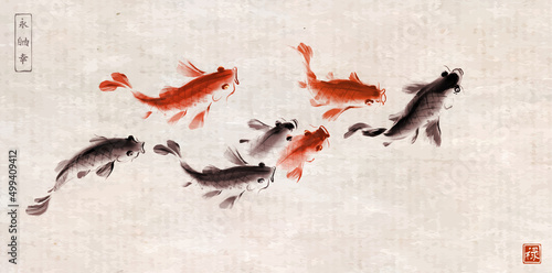 School of koi carps on vintage rice paper background. Traditional oriental ink painting sumi-e. Symbol of good fortune, success and prosperity. Hieroglyphs - eternity, freedom, happiness, well-being