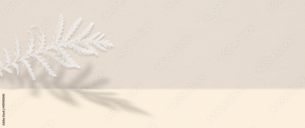 White fern leaf with shadow on a textured paper background with copy space.