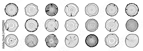 Tree growth rings icon. Eco and bio, natural concept.