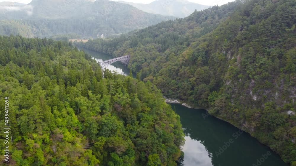 Aerial view of river in green forest with mountains in background Aerial view of river in green forest with mountains in background