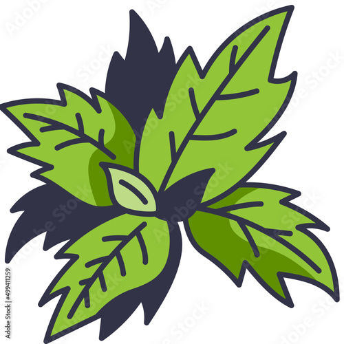 basil line icon