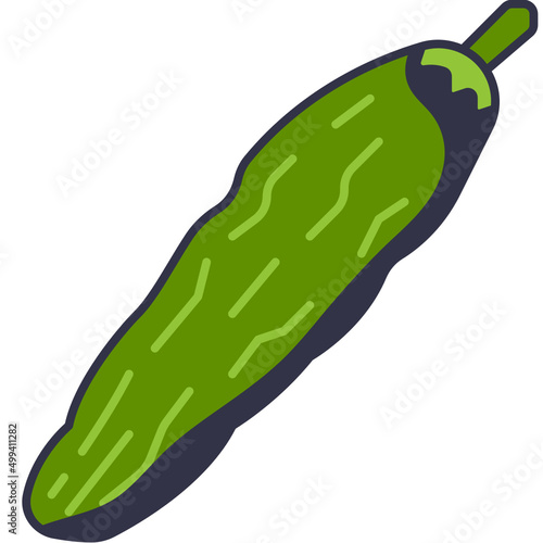 bitter gourd line icon
