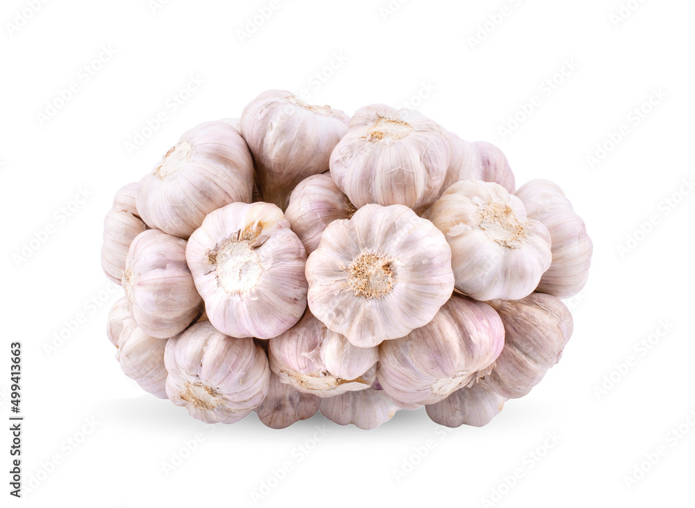 Garlic collection Isolated on white background Garlic collection Isolated on white background
