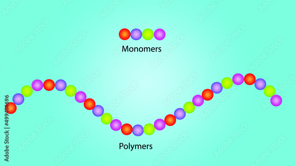 Monomers And Polymers An Introduction