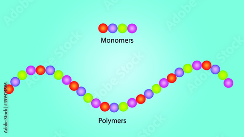 Free vector monomers and polymers  Repeating units of the monomer as a part of a polymer,  Macromolecular chemistry photo