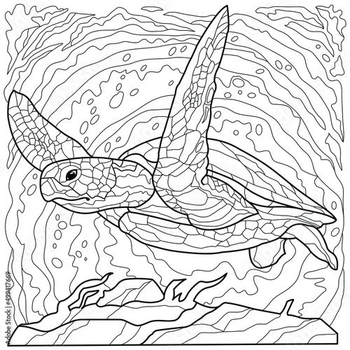 Sea turtle coloring book