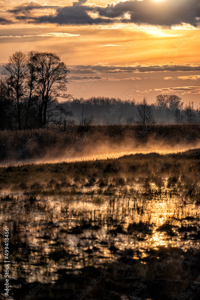Sunrise over the wetlands. The Lasica Canal, Kampinos National Park, Poland.
