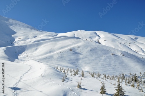 Snow covered mountain with fir trees on mountainside in Bozdağ, Ödemiş, İzmir. 