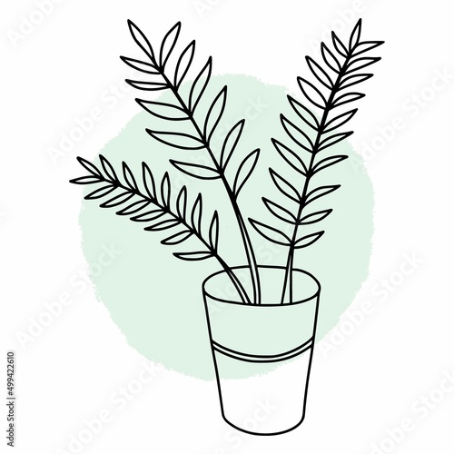 Vector sketch of a house plant