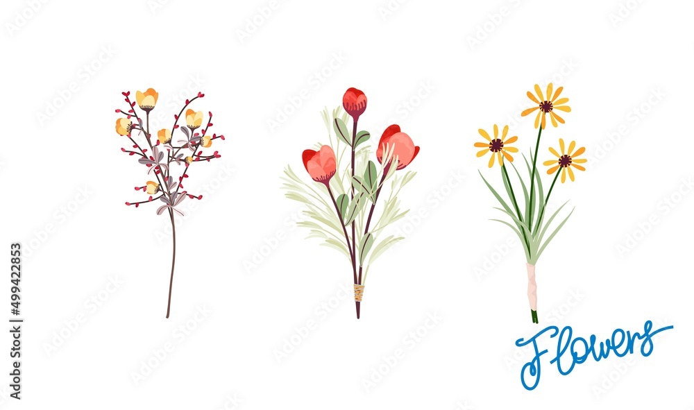 Set of three bouquets of flowers. Different compositions of branches, flowers, grass and leaves. Ready-made decorative templates. Vector art