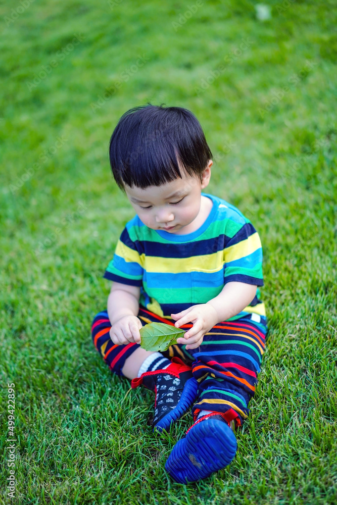 Kid sit thoughtful on the grass with idea space. Cute baby boy in a striped colorful t shirt sit and play in the garden on a Sunny summer day. Little child sit and playing dry leaves in the park. Kid sit thoughtful on the grass with idea space. Cute baby boy in a striped colorful t shirt sit and play in the garden on a Sunny summer day. Little child sit and playing dry leaves in the park.