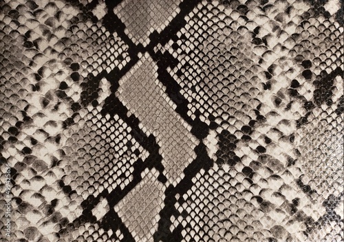 snakeskin leather background, snake skin, texture, animal, reptile