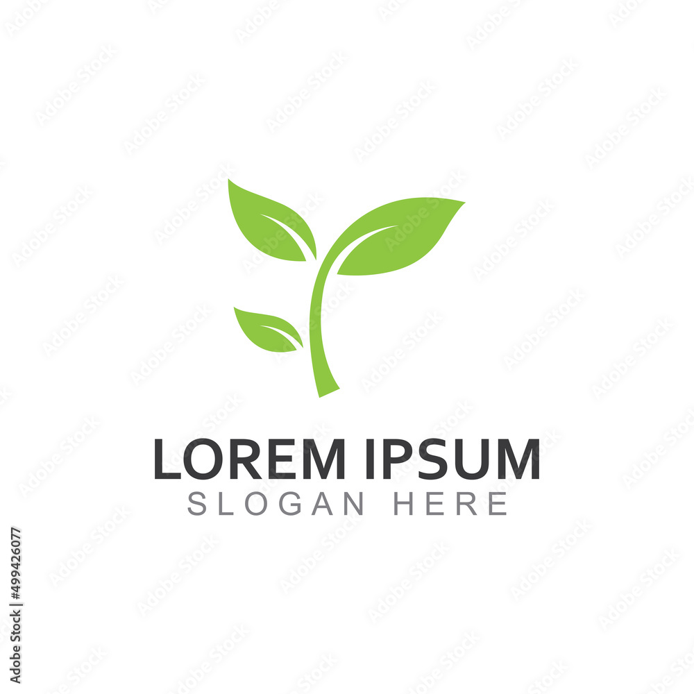 Green leaf logo. Garden, plants and nature vector design. Concept illustration vector template Green leaf logo. Garden, plants and nature vector design. Concept illustration vector template