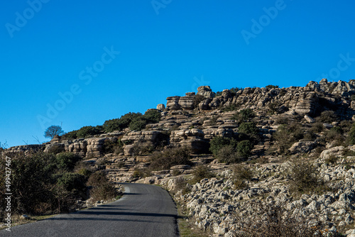 A Iberian ibex, Capra pyrenaica, in mountains El Torcal de Antequera, Andalusia, Spain