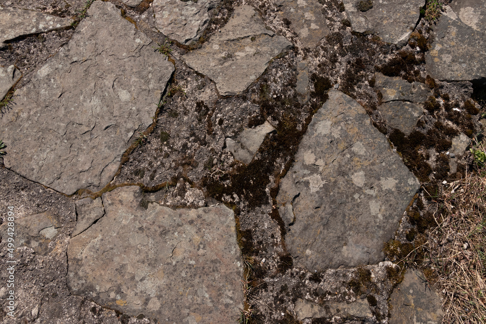 Brick Stone Texture (Castle) Brick Stone Texture (Castle)