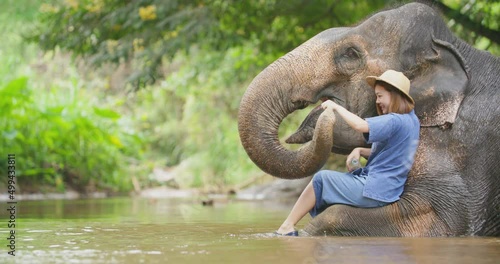 Young asian woman bathe and play with an adult elephant in the middle of the jungle or national park in Thailand. Female tourist having fun on exotic vacation in tropical forest. Slow motion.