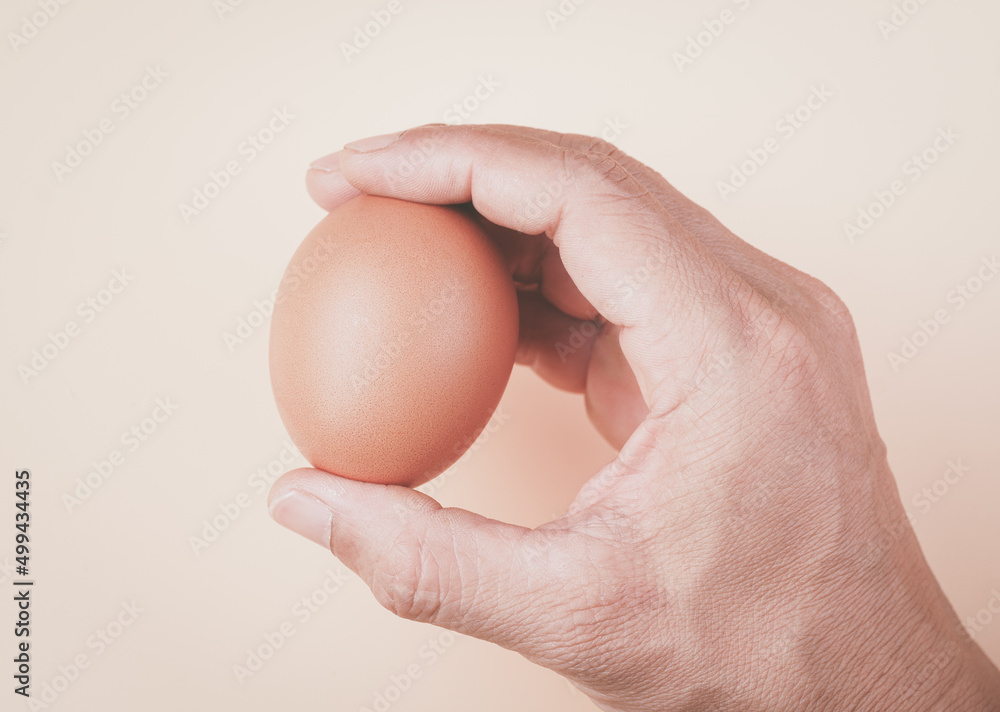 Hand holding egg. Strong healthy concept. Hand holding egg. Strong healthy concept.