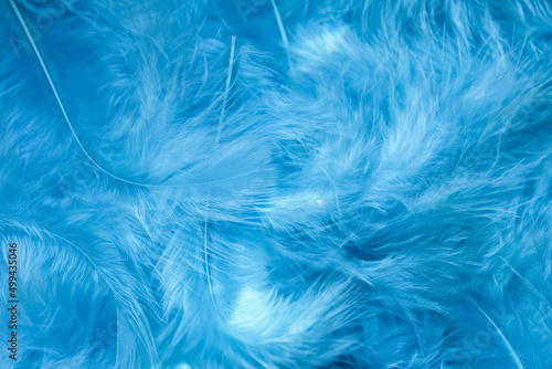 Texture of blue feathers macro, feathers background © Liiiz