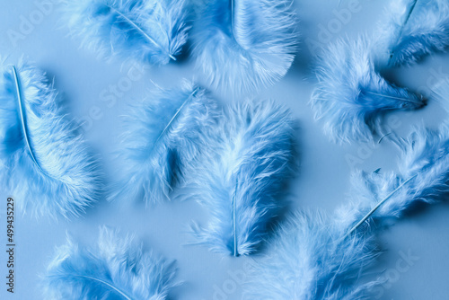 Blue feathers randomly on a blue background close up  flat lay  blue minimalism