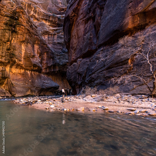 United States, Utah, Zion National Park, Senior female hiker at The Narrows of Virgin River in Zion National Park photo